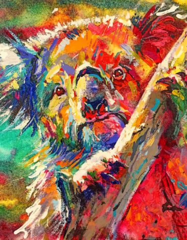 Colorful Koala Animals Paint By Numbers
