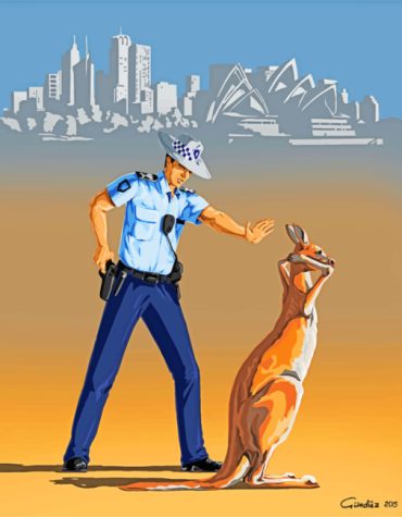 Australian Wildlife Officer Paint By Numbers