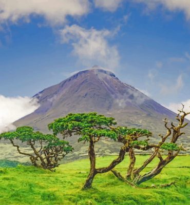 Azores Nature Landscape Paint By Numbers