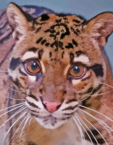 Clouded Leopard Cubs Paint By Numbers