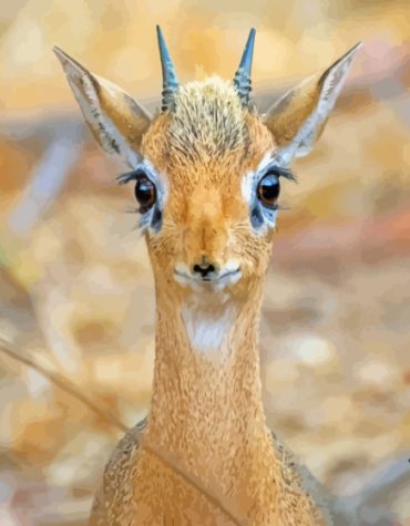 Baby Dik Dik Wildlife Paint By Numbers