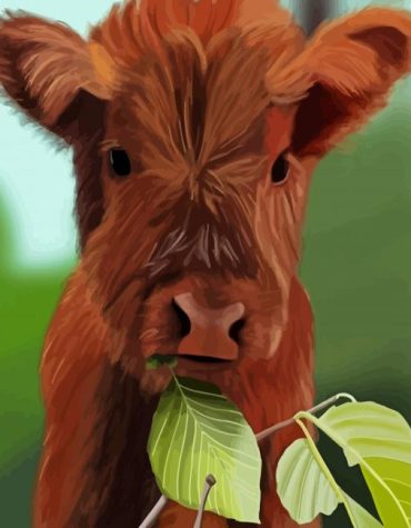 Baby Brown Cow Cattle Paint By Numbers