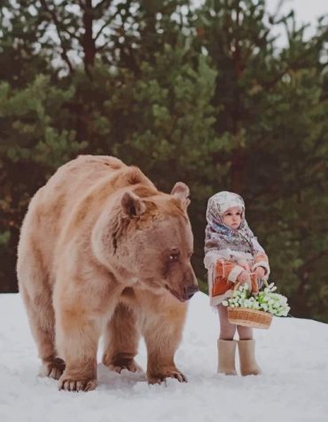 Brown Bear and Girl in Snow Paint By Numbers