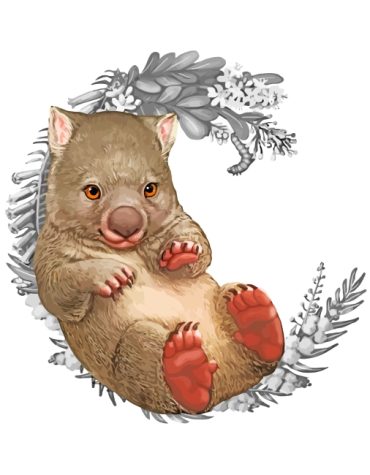 Adorable Wombat Paint By Numbers