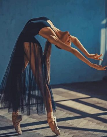 Ballet Beauty Paint By Numbers