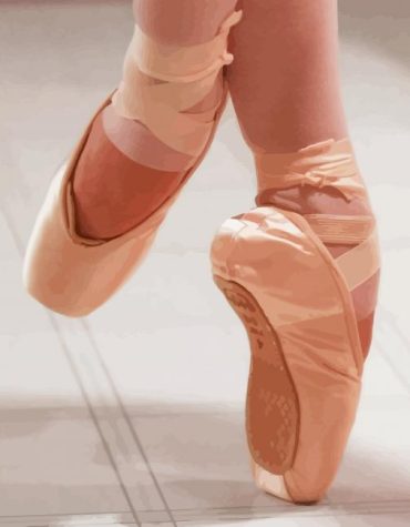 Ballerina Shoe Pink Style Paint By Numbers