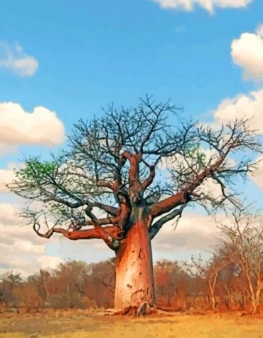 Majestic Baobabs of Madagascar Paint By Numbers