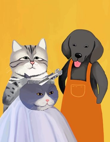 Barber Animal Friends Paint By Numbers