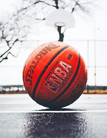 Basketball Sport Paint By Numbers