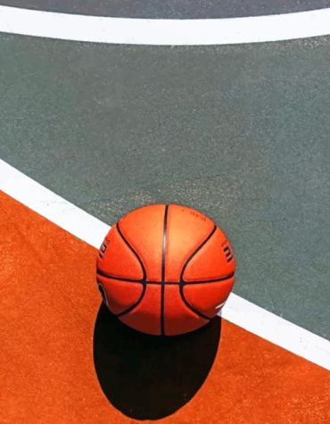 Basketball Aesthetic Sports Paint By Numbers