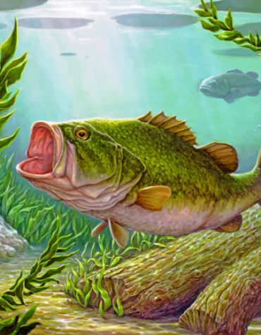 Bass Fish Underwater Adventure Paint By Numbers