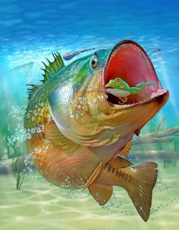 Bass Fish Adventure Paint By Numbers