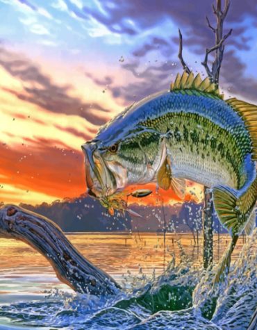Bass Fish Paint By Numbers