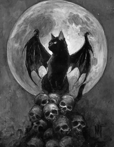 Cat Bath in Skulls Paint By Numbers