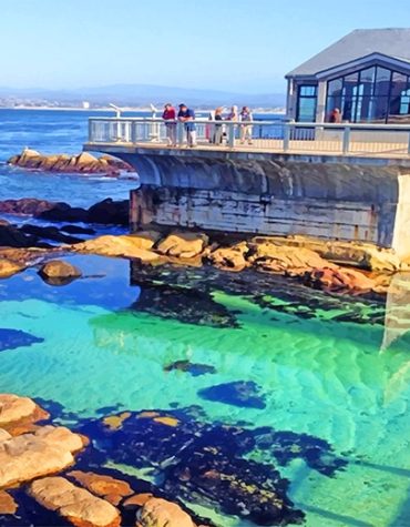 Monterey Bay Aquarium Scenic Paint By Numbers
