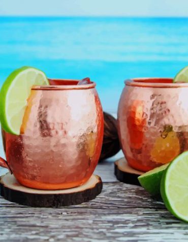 Moscow Mule Mixology Paint By Numbers