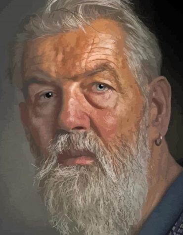 Gray Bearded Man Paint By Numbers