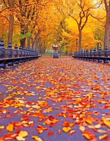 Autumn Forest Leaves Paint By Numbers