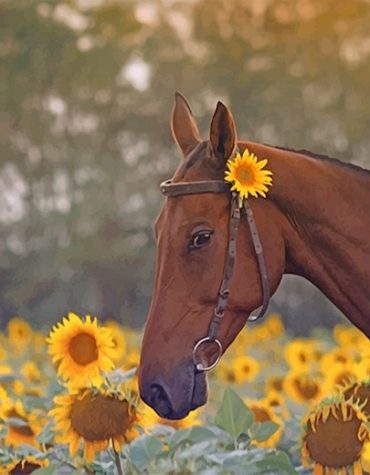 Majestic Brown Stallion Paint By Numbers