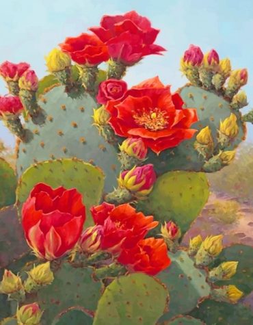 Red Cactus Blooms Paint By Numbers