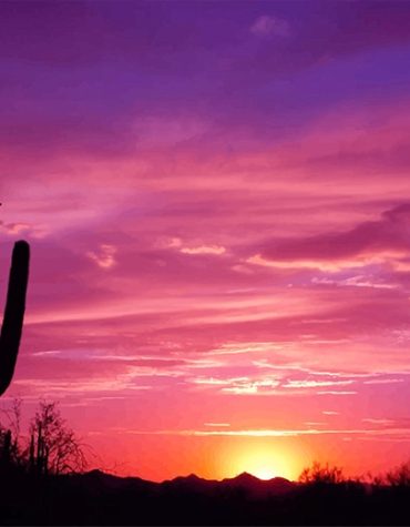 Beautiful Sunset Cactus Paint By Numbers