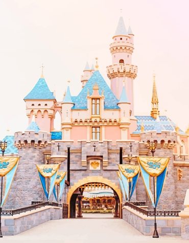 Disney Castle Adventure Paint By Numbers