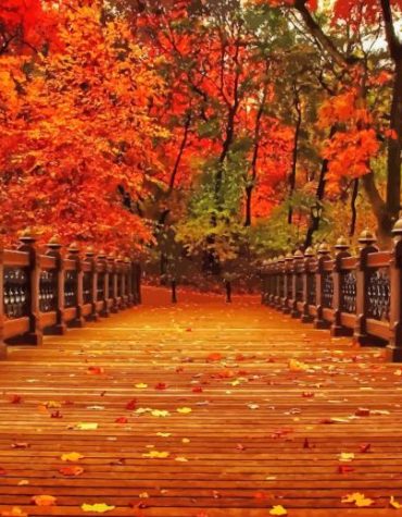 Autumn Aesthetic Forest Paint By Numbers