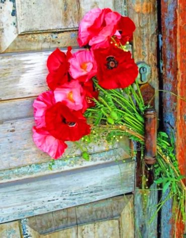 Old Door with Red Flowers Paint By Numbers