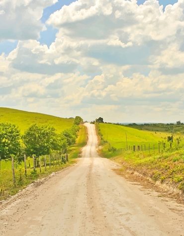 Long Road Landscape Paint By Numbers