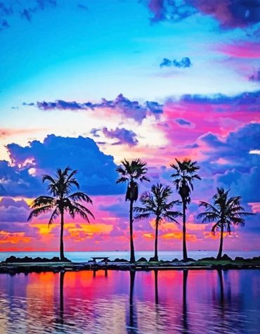 Sunset Palm Trees Paint By Numbers