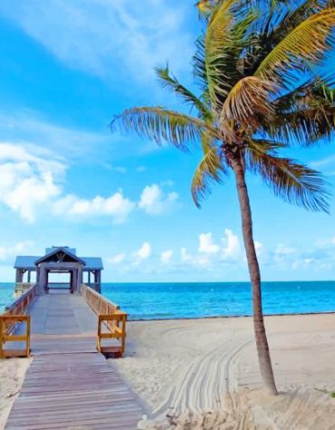 Aesthetic Florida Beach Landscape Paint By Numbers