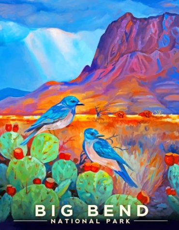 Big Bend National Park Adventure Paint By Numbers