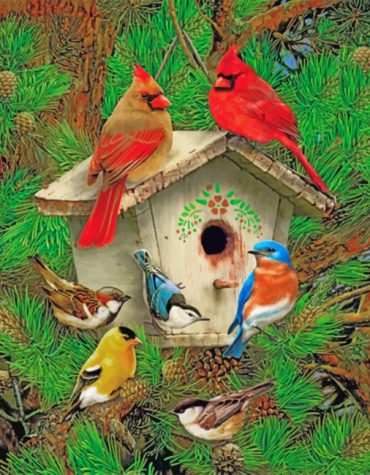 Cardinals Bird House Paint By Numbers