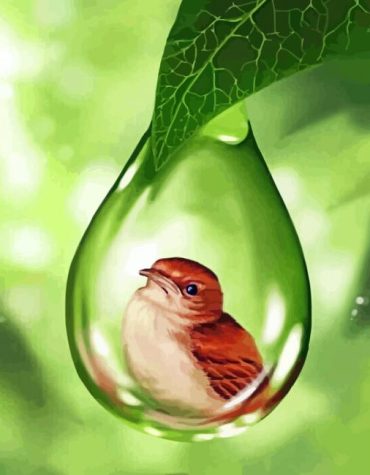 Bird Droplet Paint By Numbers