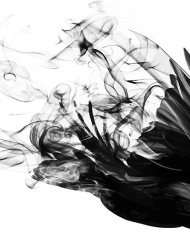 Colorful Bird Smoke Paint By Numbers