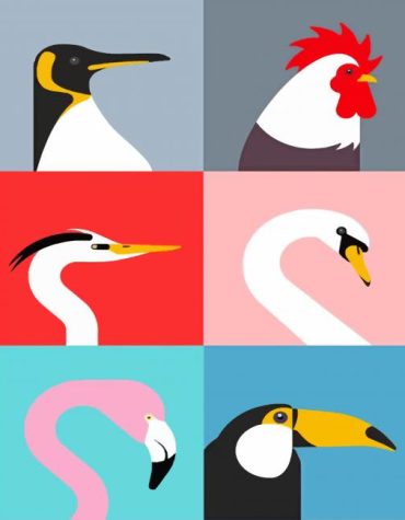 Easy Birds Paint By Numbers for Kids