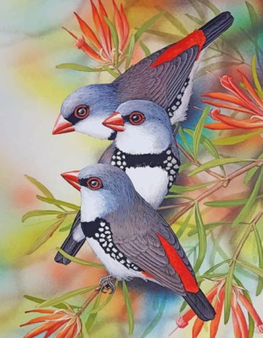 Charming Birds Paint By Numbers