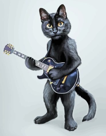 Black Cat and Guitar Paint By Numbers