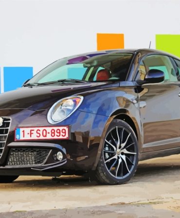 Black Mito Car Paint By Numbers
