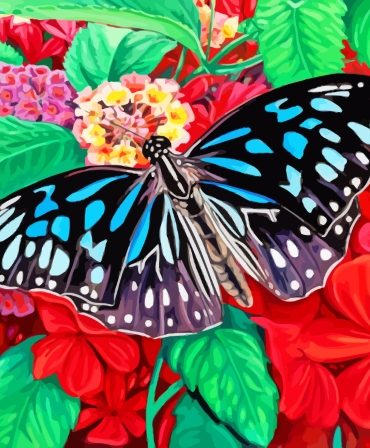 Black and Blue Butterfly Paint By Numbers