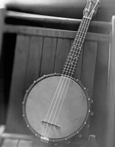 Monochrome Banjolele Paint By Numbers