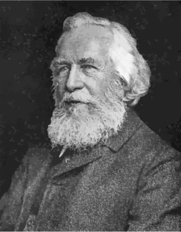 Black and White Haeckel Art Paint By Numbers