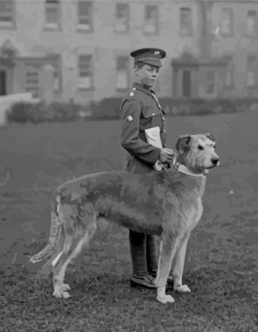 Irish Guard with Dog Paint By Numbers