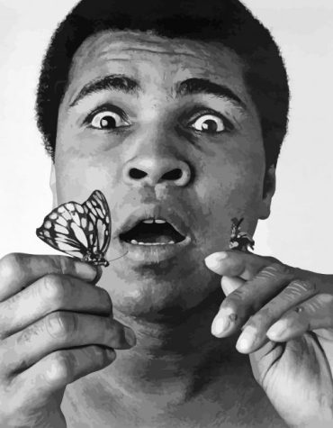 Black and White Ali Boxer Paint By Numbers