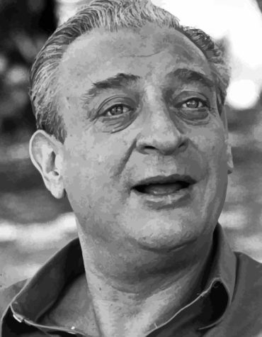 Rodney Dangerfield Tribute Paint By Numbers