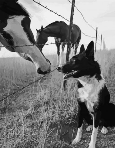 Dog and Horse Farm Paint By Numbers