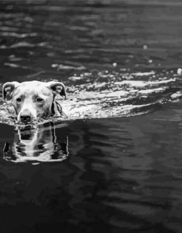 Black and White Puppy Fun Paint By Numbers