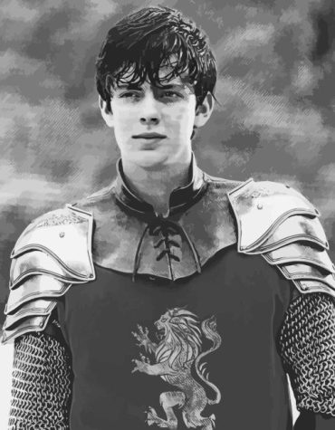 Edmund Pevensie Naz Oven Chroni Paint By Numbers