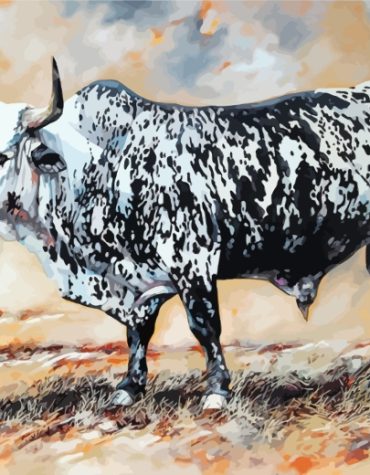 Nguni Cattle Majesty Paint By Numbers