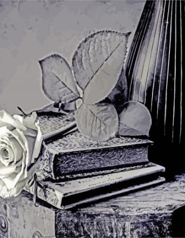 Black and White Rose Flowers Paint By Numbers